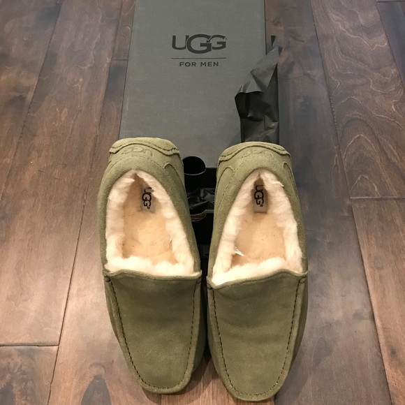 moss green uggs